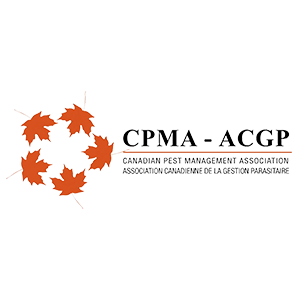 service de traitement Contre Guêpes Terrebonne